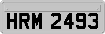 HRM2493