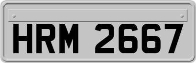 HRM2667