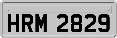 HRM2829