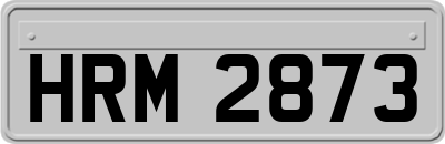 HRM2873