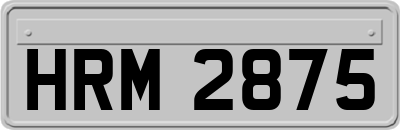 HRM2875