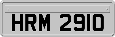 HRM2910