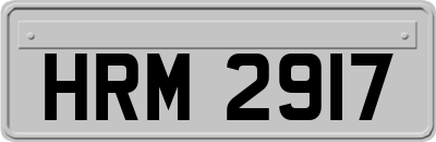 HRM2917