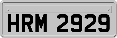 HRM2929