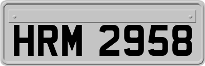 HRM2958
