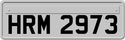 HRM2973