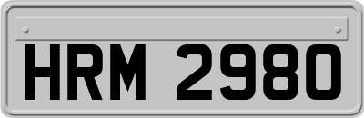 HRM2980
