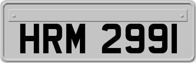 HRM2991