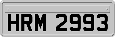 HRM2993