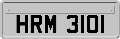 HRM3101