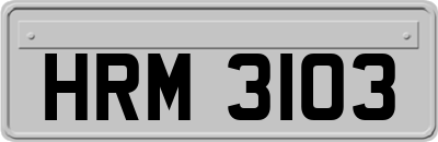 HRM3103