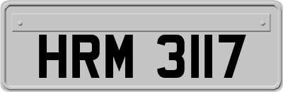 HRM3117