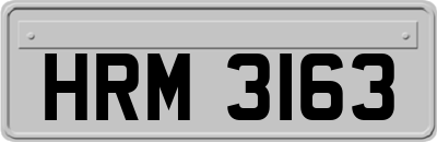 HRM3163