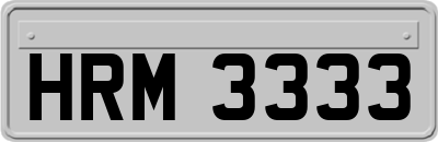 HRM3333