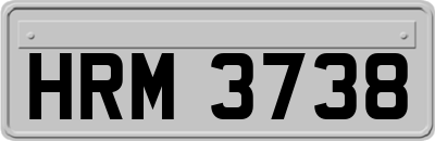 HRM3738