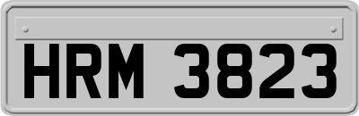 HRM3823