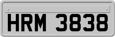 HRM3838