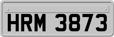 HRM3873