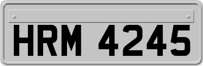 HRM4245