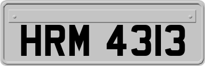 HRM4313