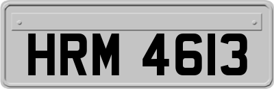 HRM4613