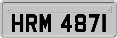 HRM4871