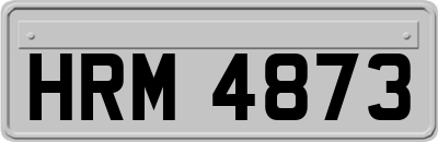 HRM4873