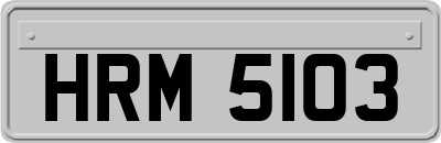 HRM5103