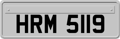 HRM5119