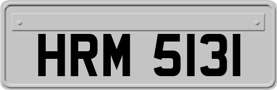 HRM5131