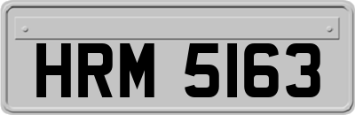 HRM5163