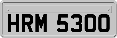 HRM5300