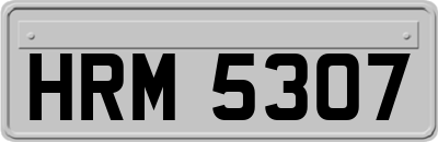 HRM5307
