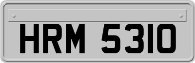 HRM5310