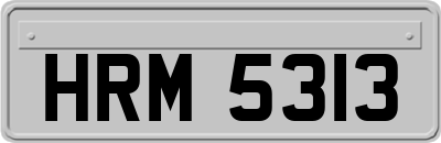 HRM5313