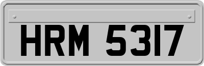 HRM5317