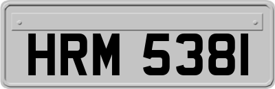 HRM5381