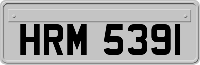 HRM5391