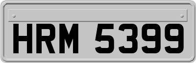 HRM5399
