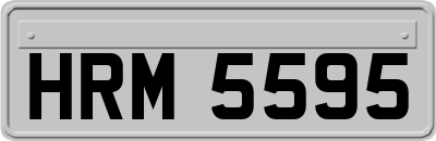 HRM5595