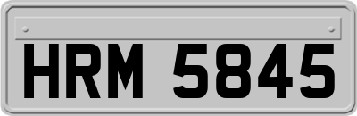 HRM5845