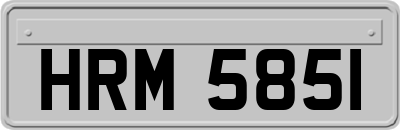 HRM5851