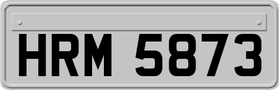HRM5873