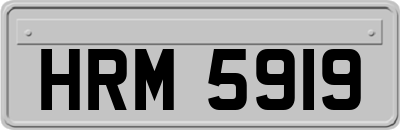 HRM5919
