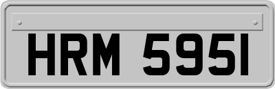 HRM5951