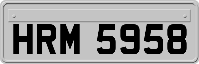 HRM5958
