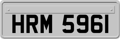 HRM5961