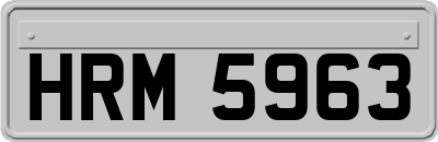 HRM5963