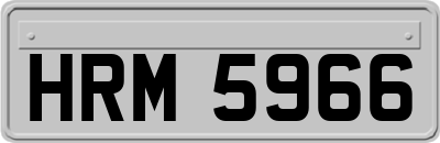 HRM5966