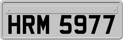 HRM5977